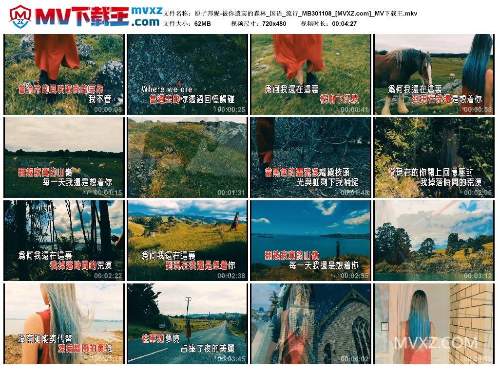 原子邦妮-被你遗忘的森林_国语_流行_MB301108